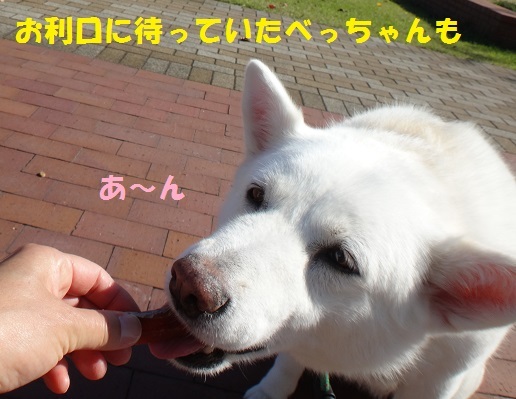 f0121712_06592970.jpg