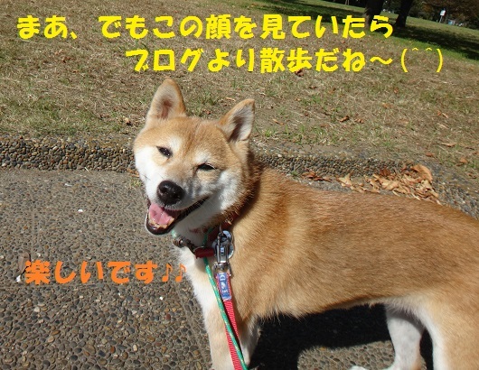 f0121712_07131203.jpg