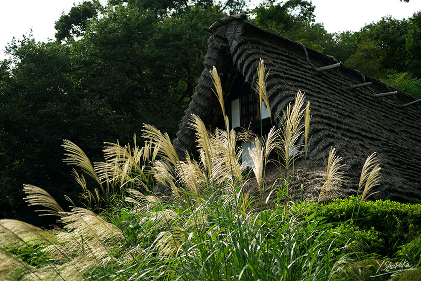 f0344614_11435175.jpg