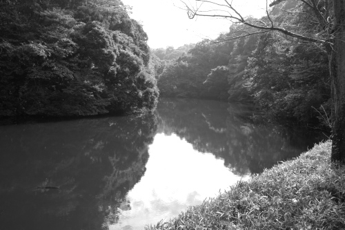 里はまだ色つくにはちと早い。六国見山や散在ヶ池など鎌倉の山道を散歩したこと。_b0285619_09072670.jpg