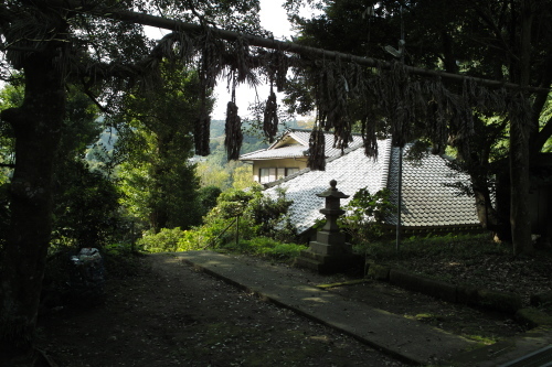 里はまだ色つくにはちと早い。六国見山や散在ヶ池など鎌倉の山道を散歩したこと。_b0285619_09205672.jpg