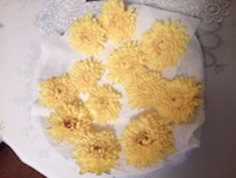 f0207320_19194920.jpg