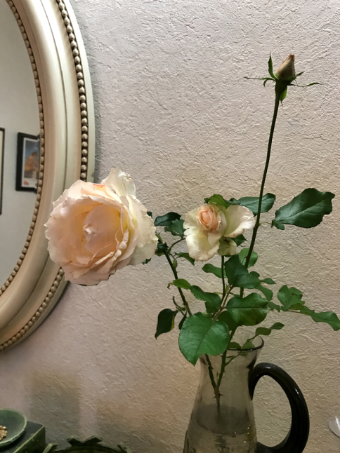 f0170524_08181711.jpg