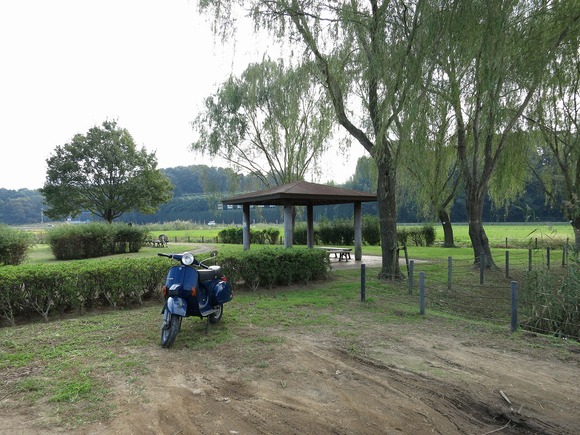 f0225627_21427.jpg