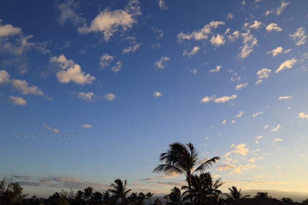 c0024729_20474400.jpg