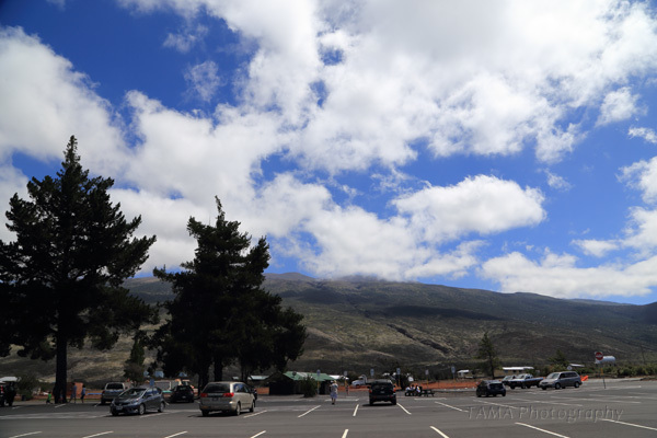 c0024729_20475923.jpg