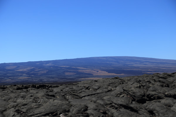 c0024729_20480958.jpg