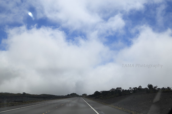 c0024729_20481689.jpg