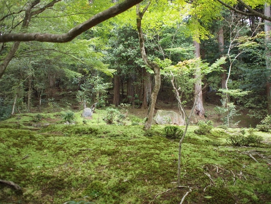 f0013029_20342140.jpg