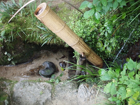 f0013029_2035895.jpg