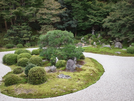 f0013029_2036013.jpg
