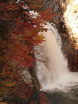 10月の東北_d0273732_15393614.jpg