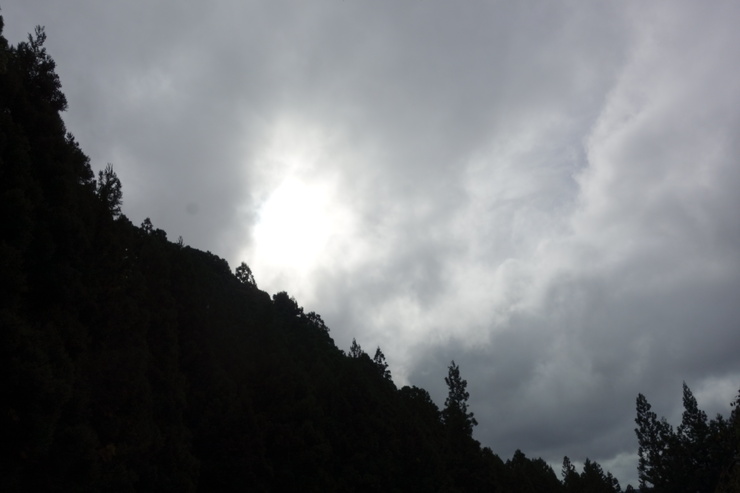 a0287336_1114832.jpg