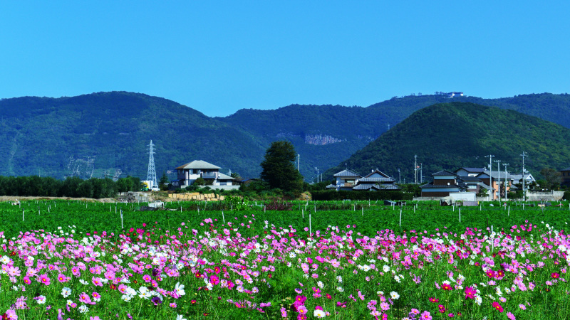 d0246136_11400888.jpg