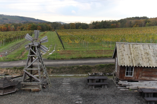 c0265837_22095631.jpg