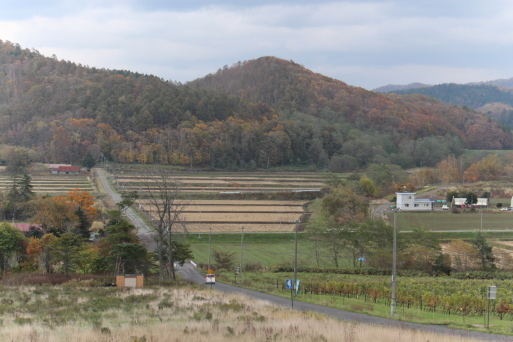 c0265837_22103020.jpg