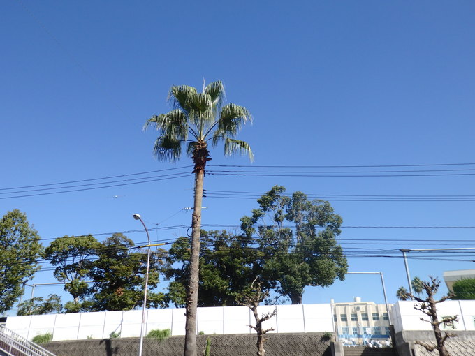 a0054240_21513479.jpg