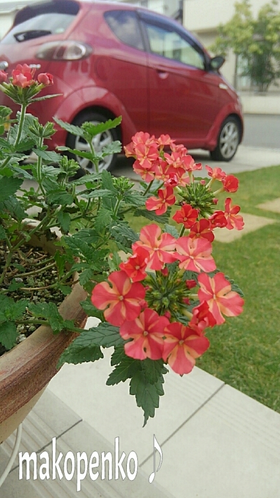 d0314745_15484443.jpg