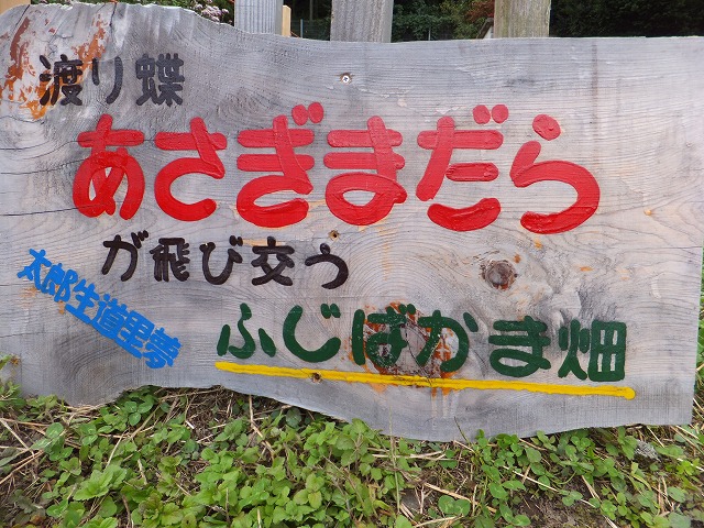 d0048350_1027121.jpg