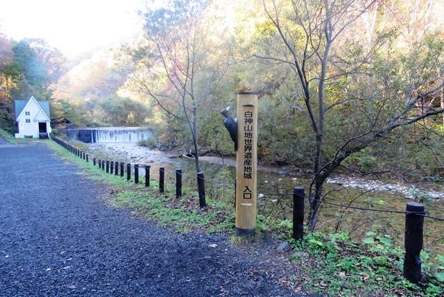 白神山地_b0227552_21454929.jpg