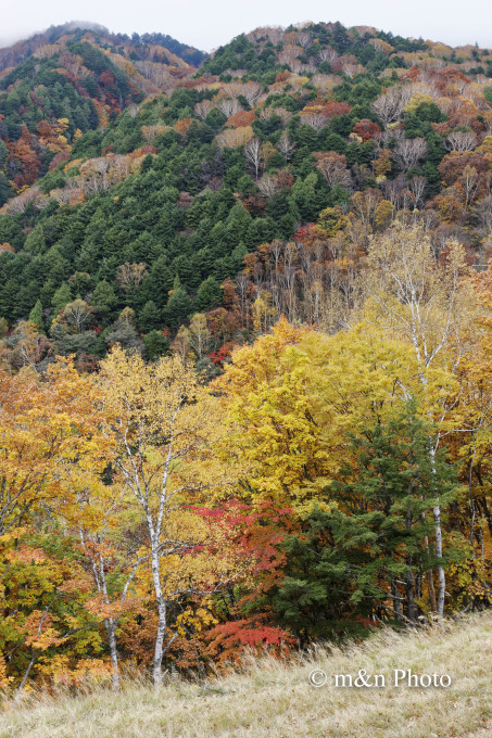 e0321360_23222740.jpg