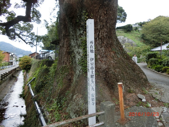 金沢～東京～熱海～伊東～土肥の旅　3_f0340068_21230312.jpg