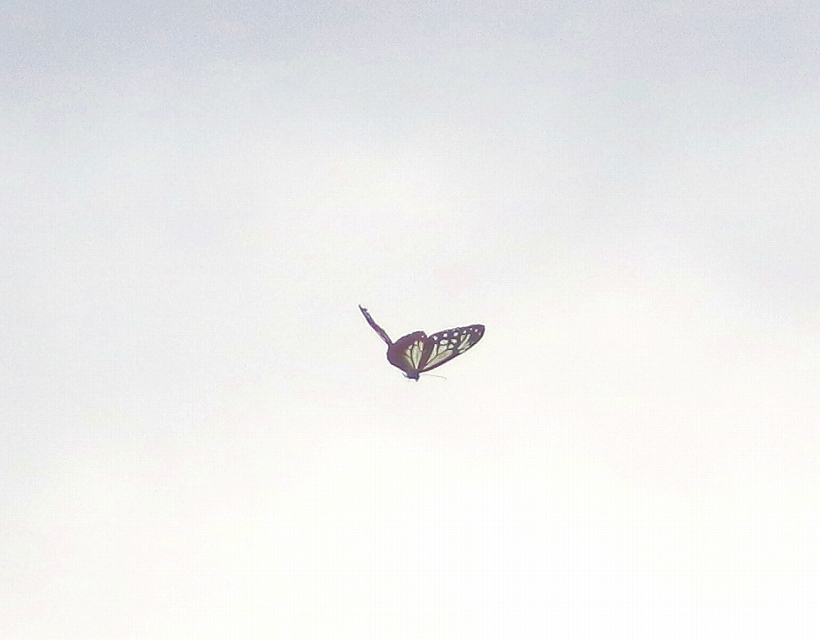b0320769_09461894.jpg