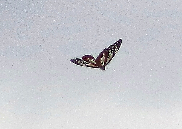 b0320769_09462623.jpg