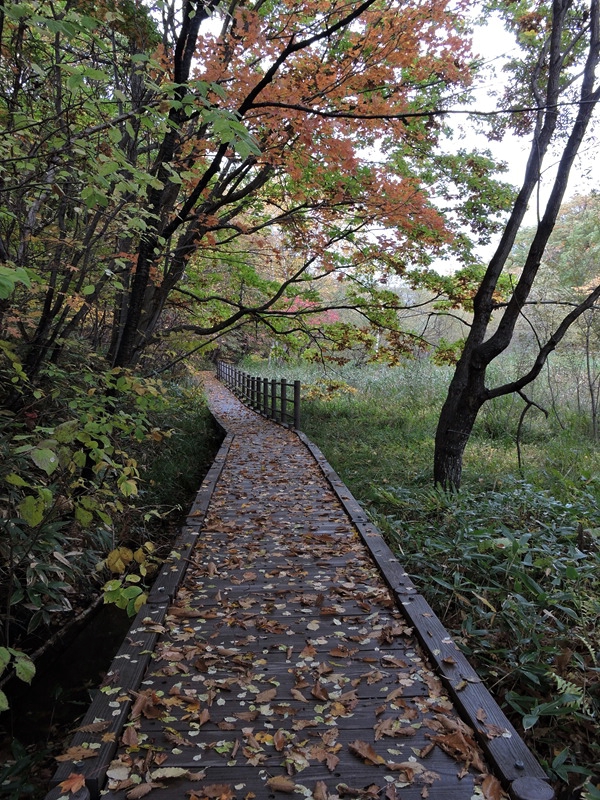 平岡公園＆樹芸センター_e0351973_21195835.jpg