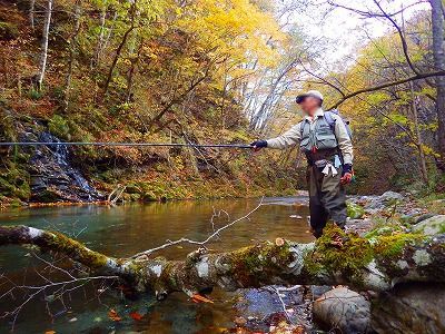 紅葉渓流秋三昧8　川の中見ちゃえ～3時間半川下り終了_b0052375_18195350.jpg