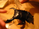 e0358579_12493848.jpg