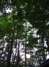 e0358579_12503180.jpg