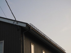 e0358579_12540974.jpg