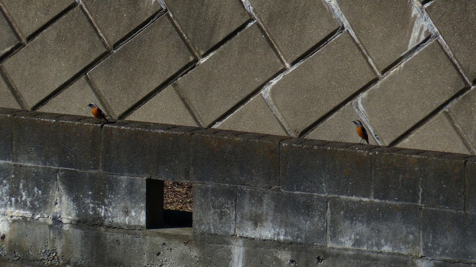 a0185081_1325342.jpg