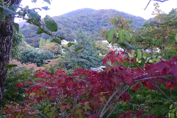 e0024081_08352590.jpg