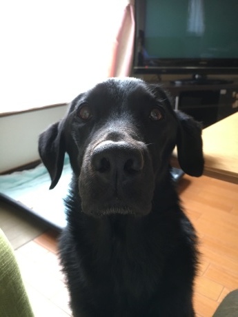 e0160787_23131457.jpeg