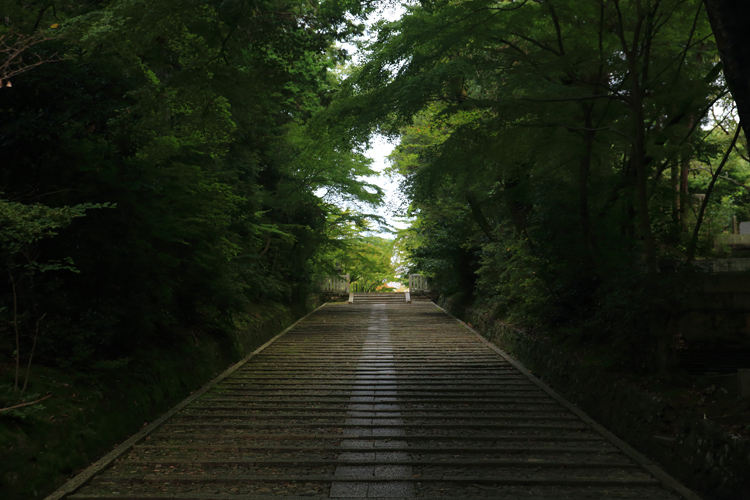 粟生光明寺_e0051888_526676.jpg