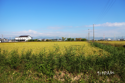 b0223592_158448.png