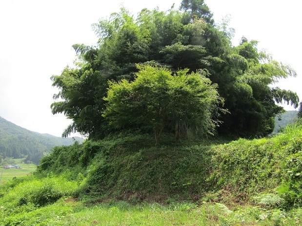 野見宿禰の墓(4) 系譜の謎 出雲国飯石郡来嶋郷野見_e0354697_17445953.jpg