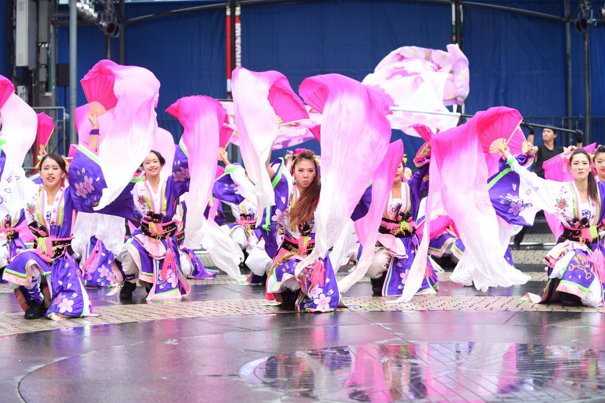 東京よさこい『REIKA組』_f0184198_0201839.jpg