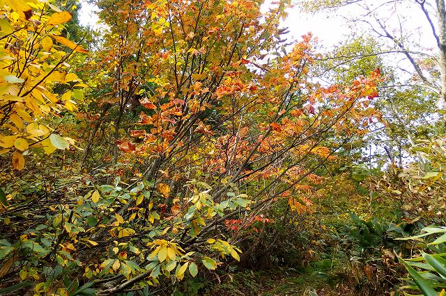 e0137200_23355849.jpg