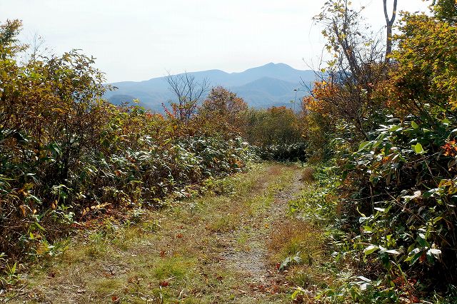 e0137200_23375845.jpg