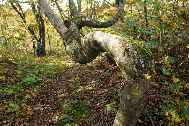 e0137200_23383036.jpg