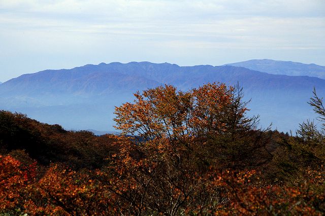 e0137200_23402361.jpg