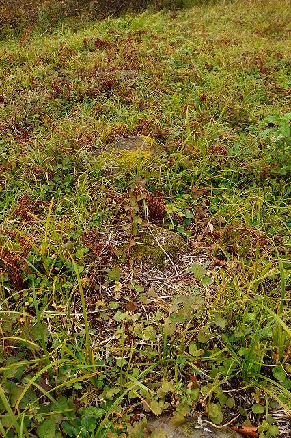 e0137200_23421343.jpg