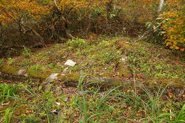 e0137200_2342253.jpg