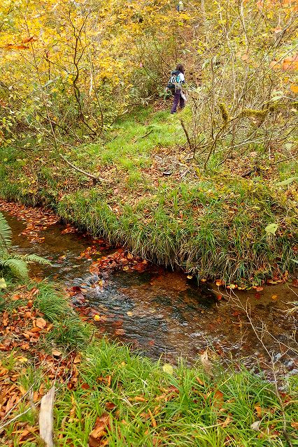 e0137200_23431651.jpg