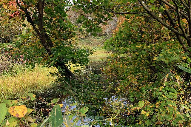 e0137200_23434311.jpg
