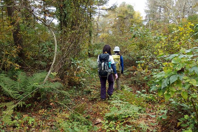 e0137200_2344067.jpg