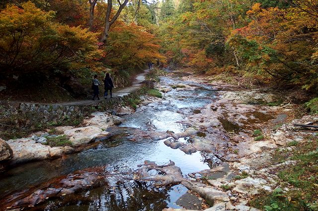 e0137200_23462100.jpg